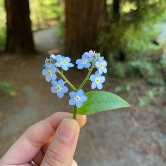 StyleCycle - Picture 1 of 2